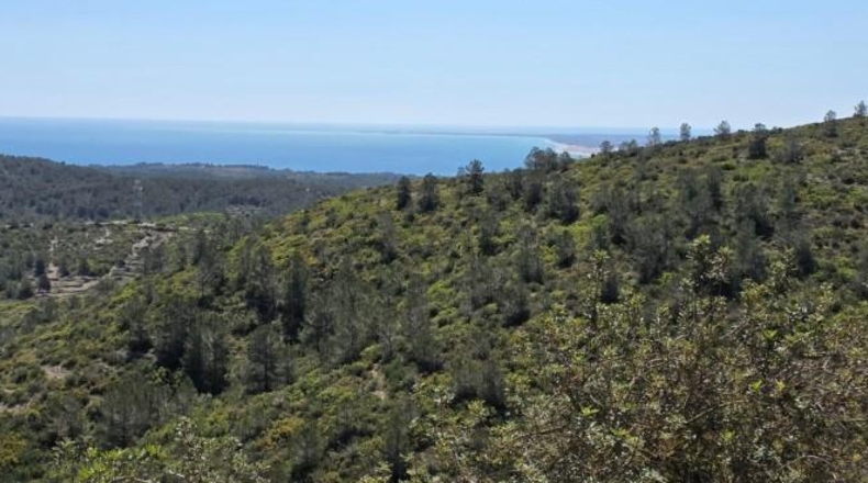 Tarragona - el Perelló - 6041m2