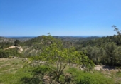 Xalet independent amb terreny en venda a la España, el Perelló, ref.: TR283711 foto