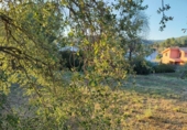 Urban land for sale on España, Fonollosa, ref: TR125121 photo