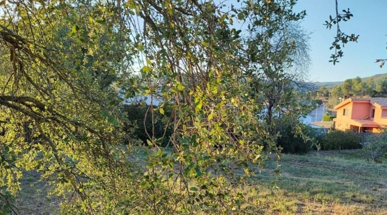 Barcelona - Fonollosa - 773m2