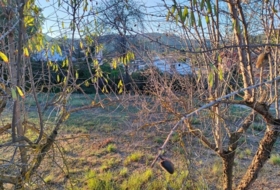 Foto 6