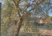 Urban land for sale on España, Fonollosa, ref: TR125121 photo