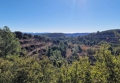 Terreno no urbanizable en venta en la España, Atzeneta del Maestrat, ref: TR129775 foto