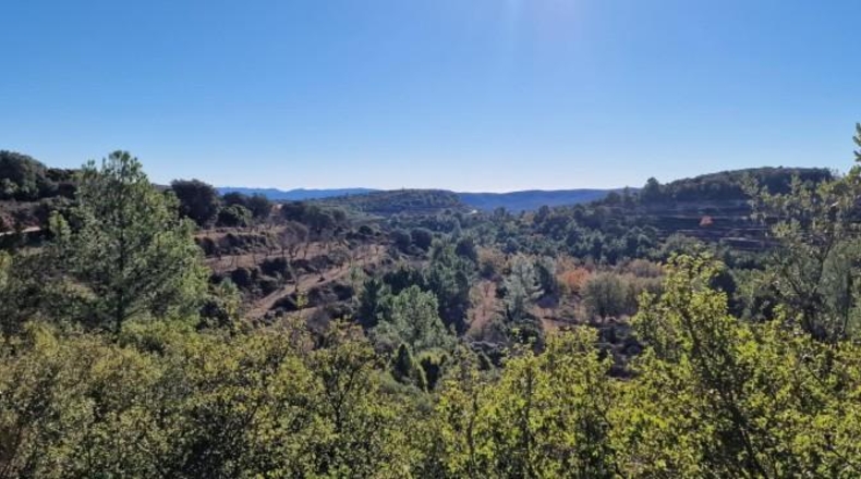 Castellon - Adzaneta - 39497m2