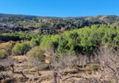 Terreno no urbanizable en venta en la España, Atzeneta del Maestrat, ref: TR129775 foto