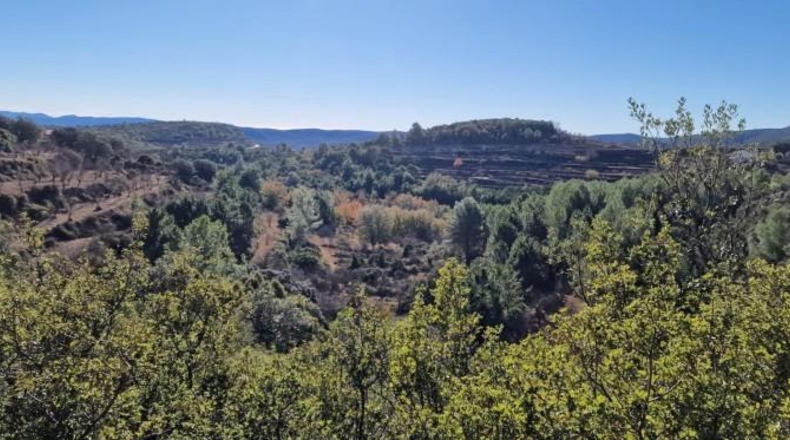 Castellon - Adzaneta - 39497m2