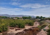 Terreny no urbanitzable en venda a la España, Crevillent, ref.: TR116527 foto