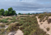 Terreny no urbanitzable en venda a la España, Crevillent, ref.: TR116527 foto