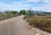 Terreny no urbanitzable en venda a la España, Crevillent, ref.: TR116527 foto