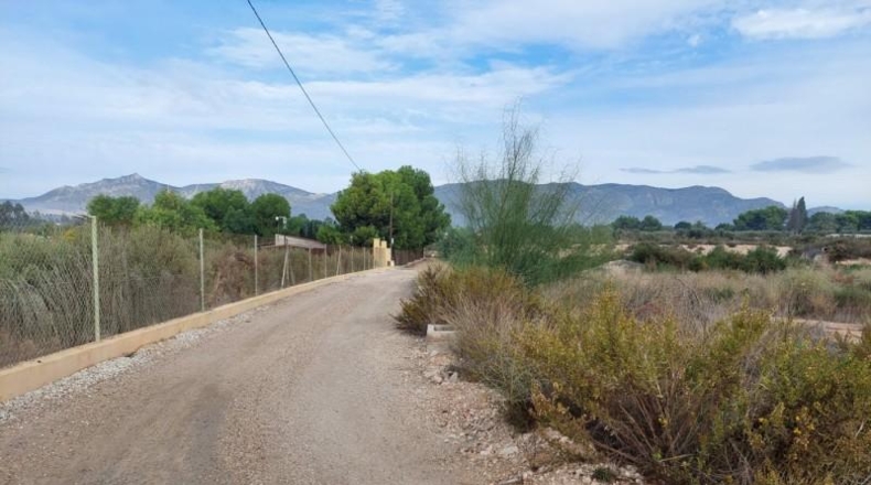 Alicante - Crevillente - 12800m2