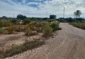 Terreny no urbanitzable en venda a la España, Crevillent, ref.: TR116527 foto
