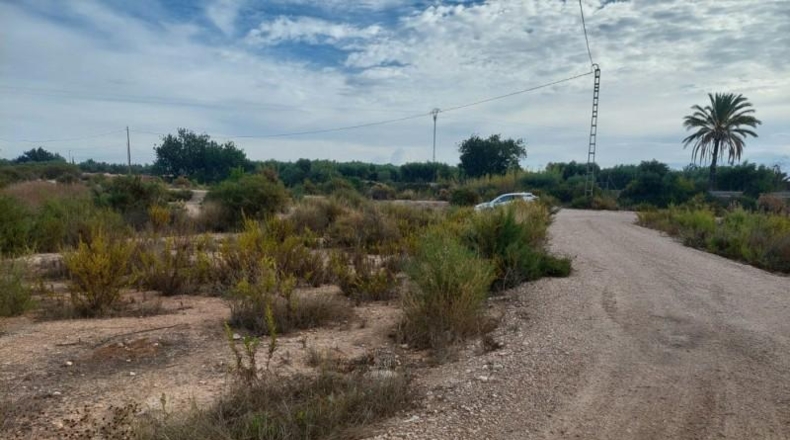 Alicante - Crevillente - 12800m2