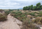 Terreny no urbanitzable en venda a la España, Crevillent, ref.: TR116527 foto