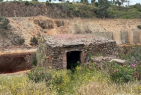 Foto 10
