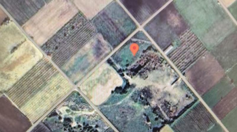 Toledo - Malpica de Tajo - 81083m2