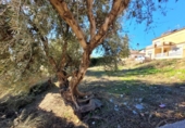 Suelo urbano en venta en la España, Mondrón, ref: TR371828 foto