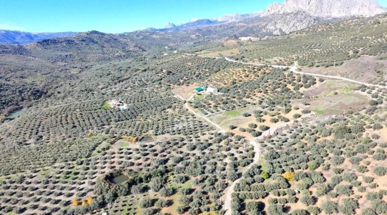 Малага - Mondrón - 538m2