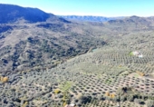Suelo urbano en venta en la España, Mondrón, ref: TR371828 foto