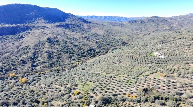 Малага - Mondrón - 538m2