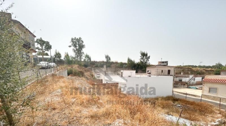 Cádiz - Херес-де-ла-Фронтера - 266m2