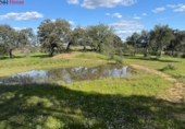 Non-developable land for sale on España, Almonaster la Real, ref: TR248246 photo