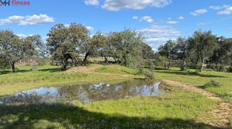 Huelva - Almonaster la Real - 80824m2