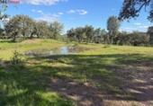 Non-developable land for sale on España, Almonaster la Real, ref: TR248246 photo