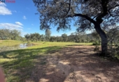 Non-developable land for sale on España, Almonaster la Real, ref: TR248246 photo