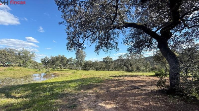 Huelva - Almonaster la Real - 80824m2