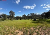Non-developable land for sale on España, Almonaster la Real, ref: TR248246 photo