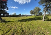 Non-developable land for sale on España, Almonaster la Real, ref: TR248246 photo