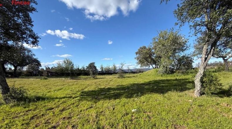 Huelva - Almonaster la Real - 80824m2