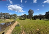 Non-developable land for sale on España, Almonaster la Real, ref: TR248246 photo