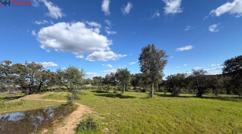 Huelva - Almonaster la Real - 80824m2