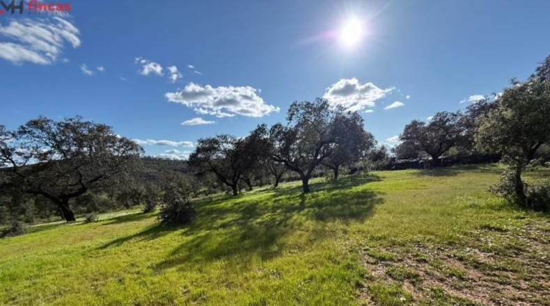 Huelva - Almonaster la Real - 80824m2