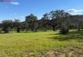 Non-developable land for sale on España, Almonaster la Real, ref: TR248246 photo