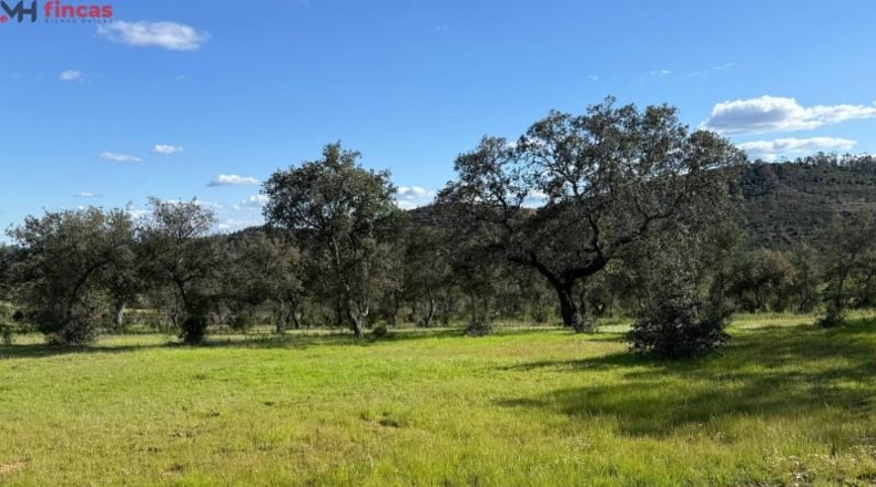 Huelva - Almonaster la Real - 80824m2