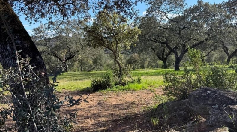 Huelva - Almonaster la Real - 80824m2