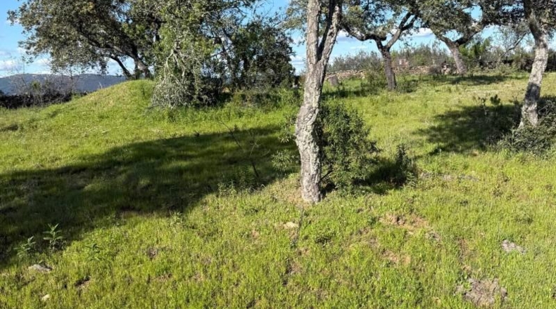 Huelva - Almonaster la Real - 80824m2