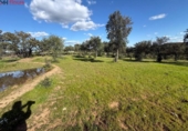 Non-developable land for sale on España, Almonaster la Real, ref: TR248246 photo
