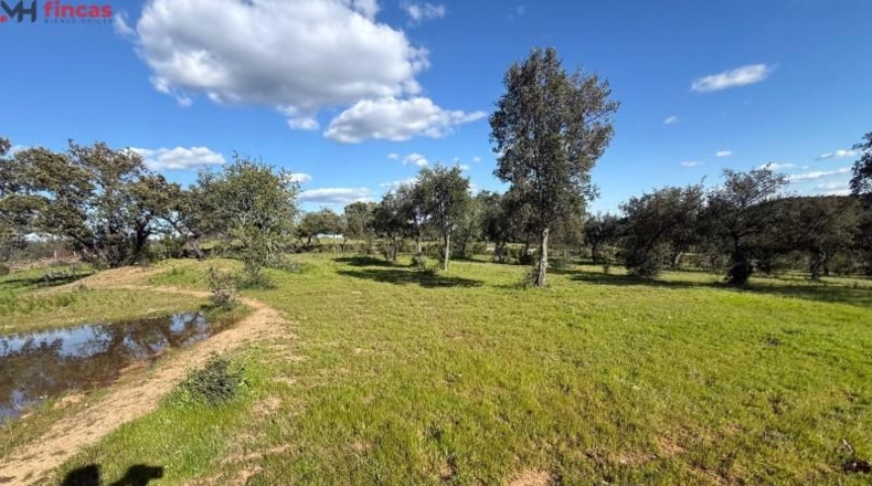 Huelva - Almonaster la Real - 80824m2