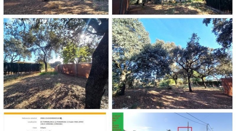 Córdoba - Córdoba - 1183m2