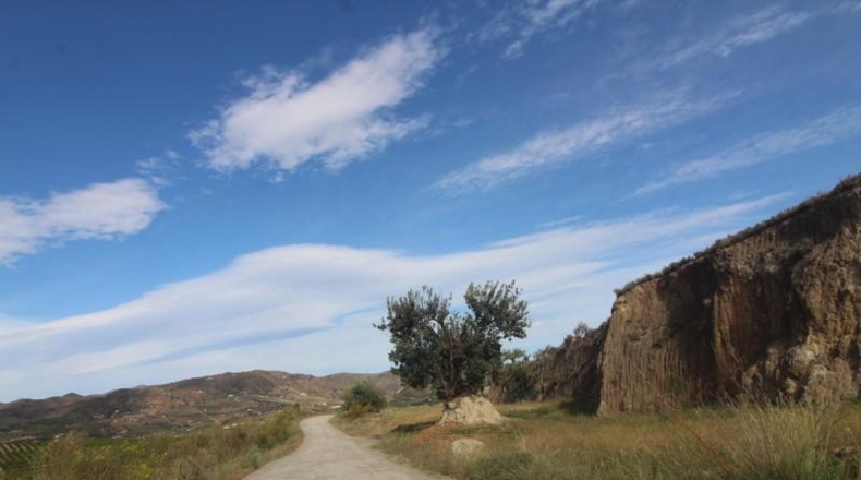 Málaga - Álora - 3400m2