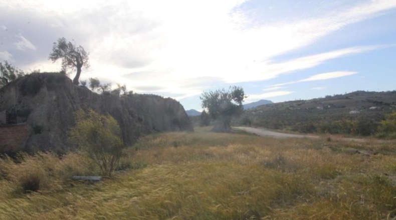 Málaga - Álora - 3400m2