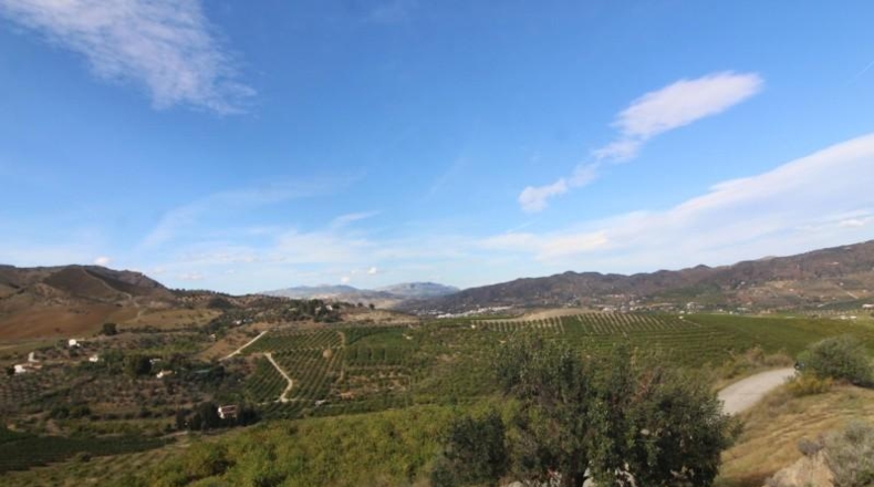Málaga - Álora - 3400m2