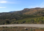 Terreno no urbanizable en venta en la España, Álora, ref: TR167060 foto