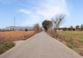 Non-developable land for sale on España, Albolote, ref: TR238311 photo