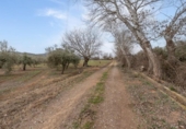 Non-developable land for sale on España, Albolote, ref: TR238311 photo