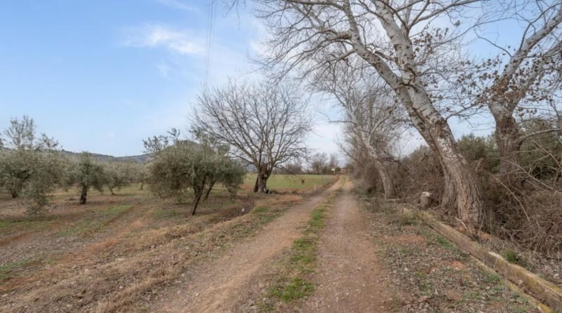 Granada - Albolote - 9337m2