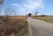 Non-developable land for sale on España, Albolote, ref: TR238311 photo